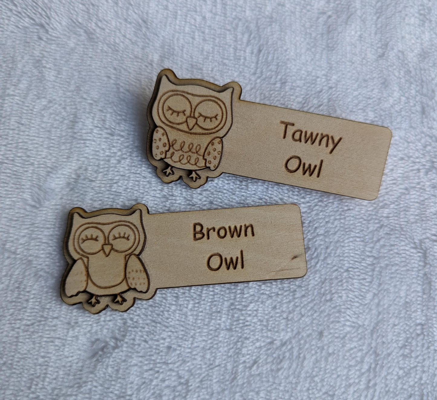 Guides/Scout Leader Badges